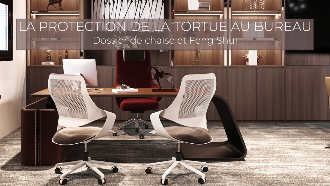 La protection de la Tortue au bureau : l’importance du dossier de chaise en Feng Shui