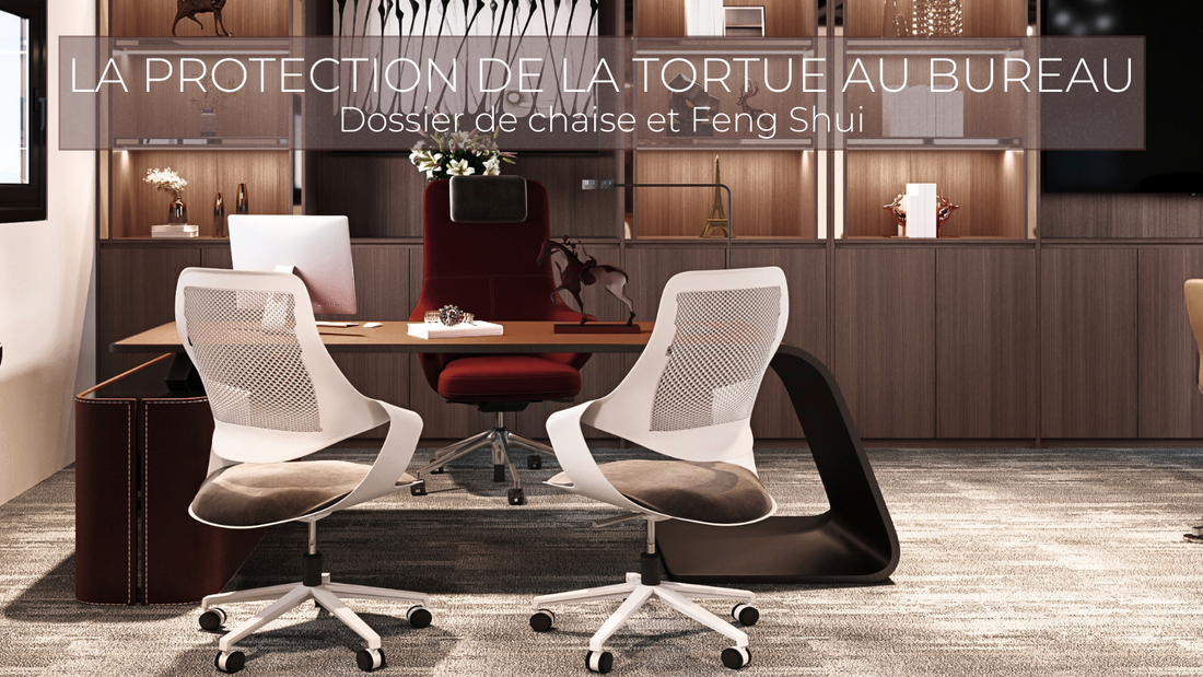 La protection de la Tortue au bureau : l’importance du dossier de chaise en Feng Shui