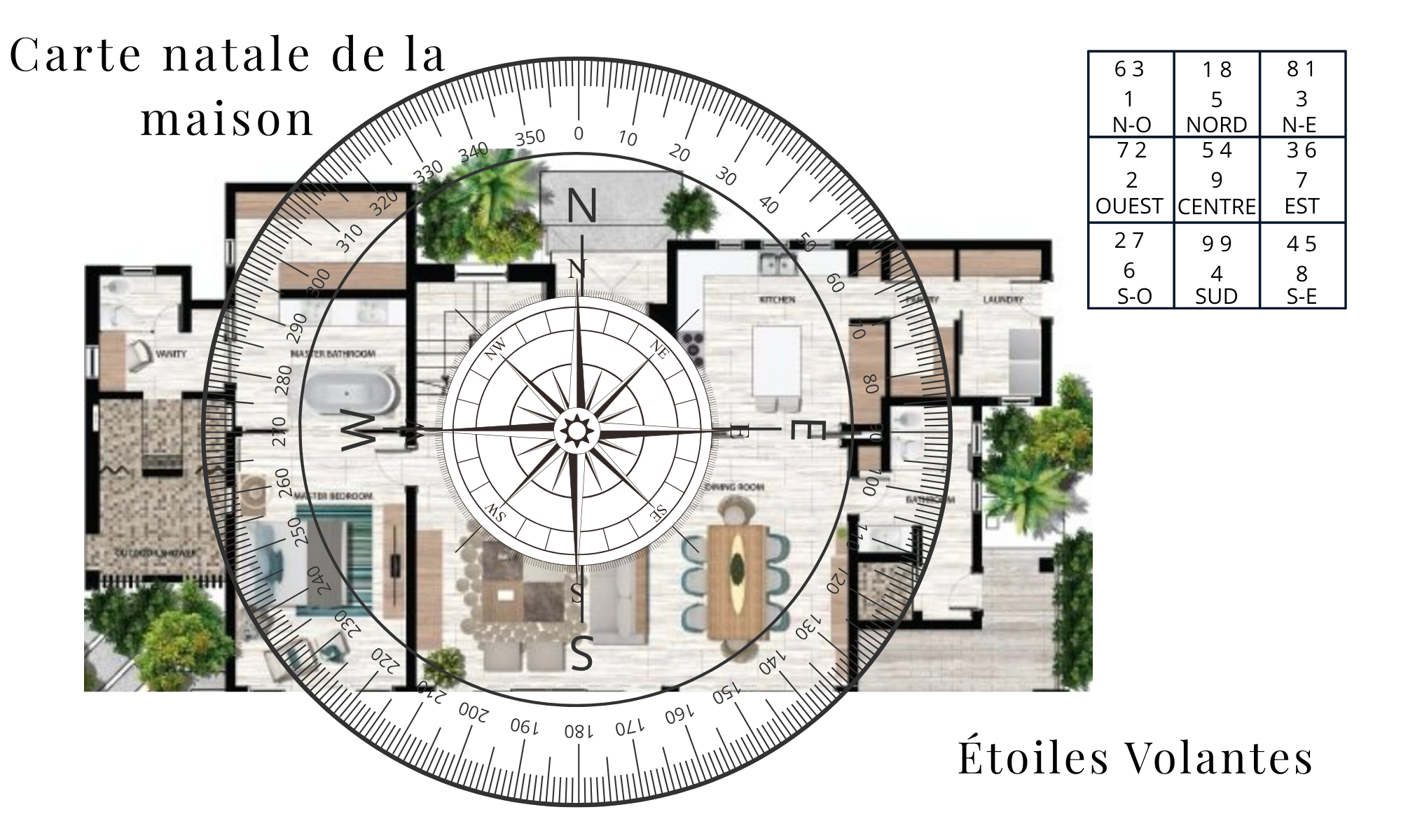 Analyse des Étoiles Volantes Carte Natale de la maison