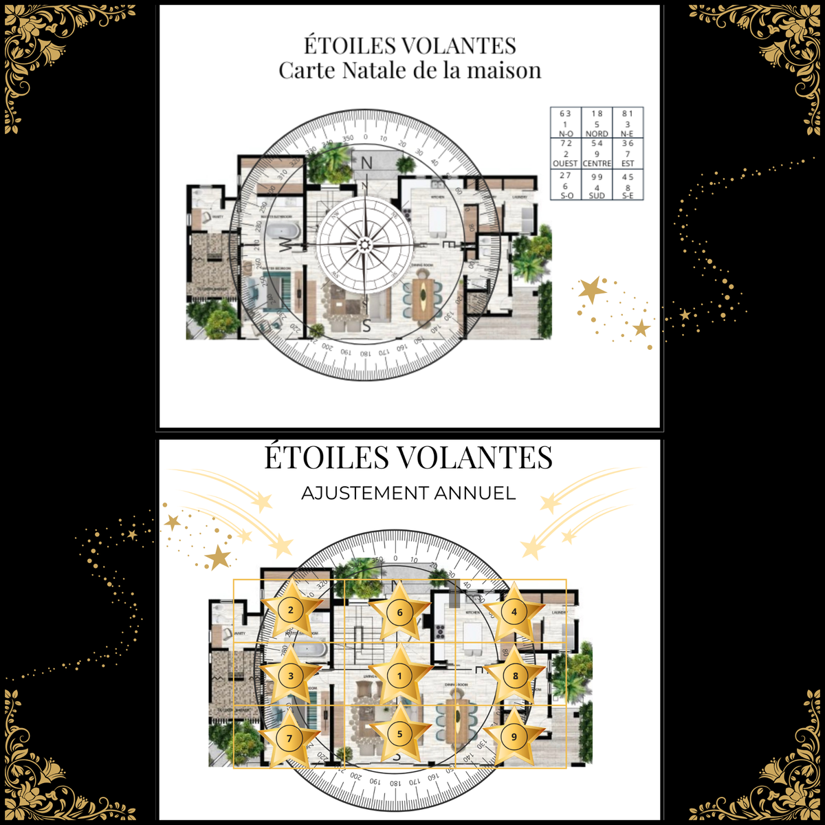 Combo Analyses Complète Carte Natale+Ajustement des Étoiles Volantes Annuelles